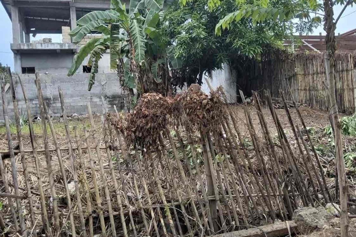 Land for Sale in Santa Monica, Puerto Princesa, Palawan – photo 2