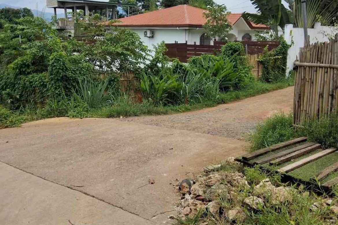 Land for Sale in Santa Monica, Puerto Princesa, Palawan – photo 3