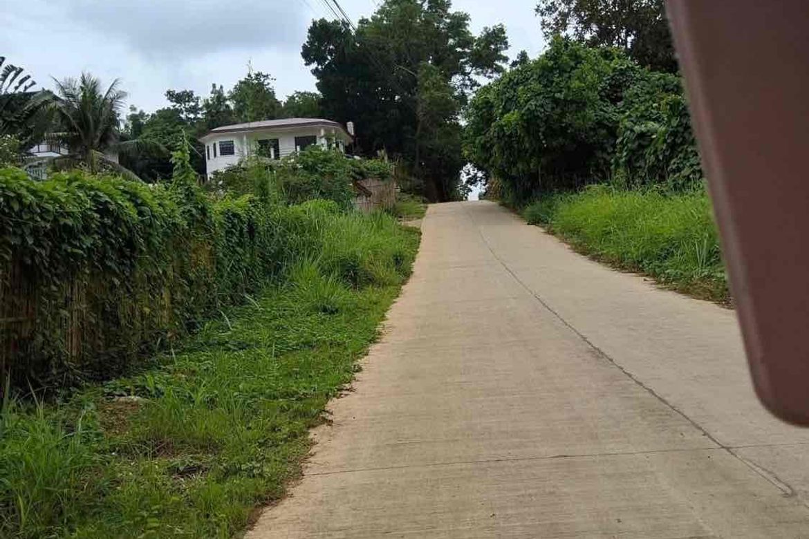 Land for Sale in Santa Monica, Puerto Princesa, Palawan – photo 4