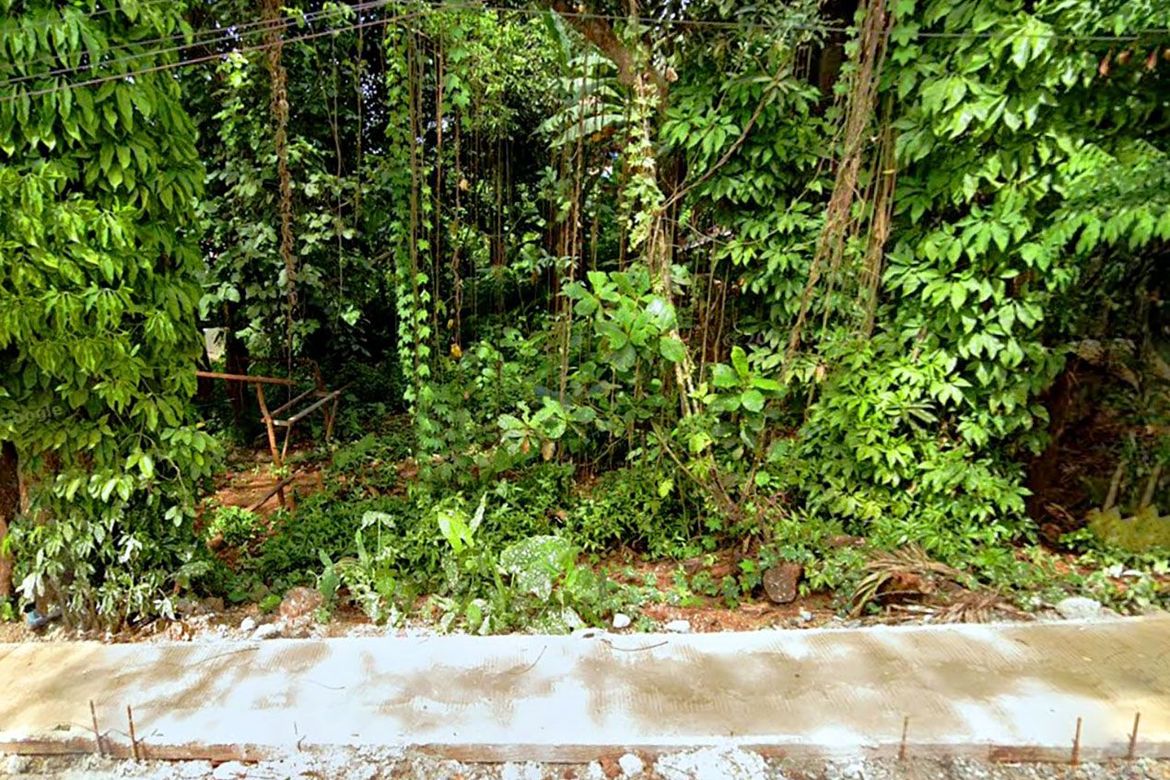 Land for Sale in Santa Monica, Puerto Princesa, Palawan – photo 3