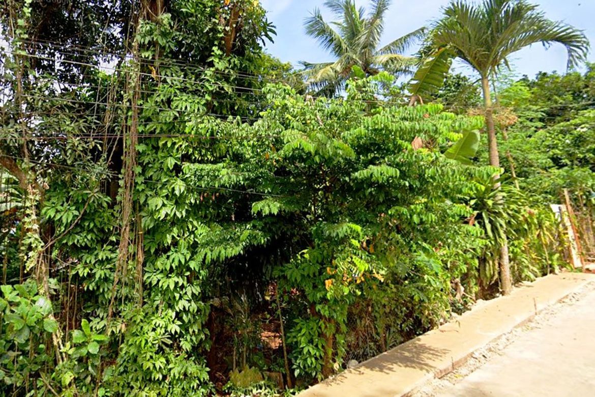 Land for Sale in Santa Monica, Puerto Princesa, Palawan – photo 6