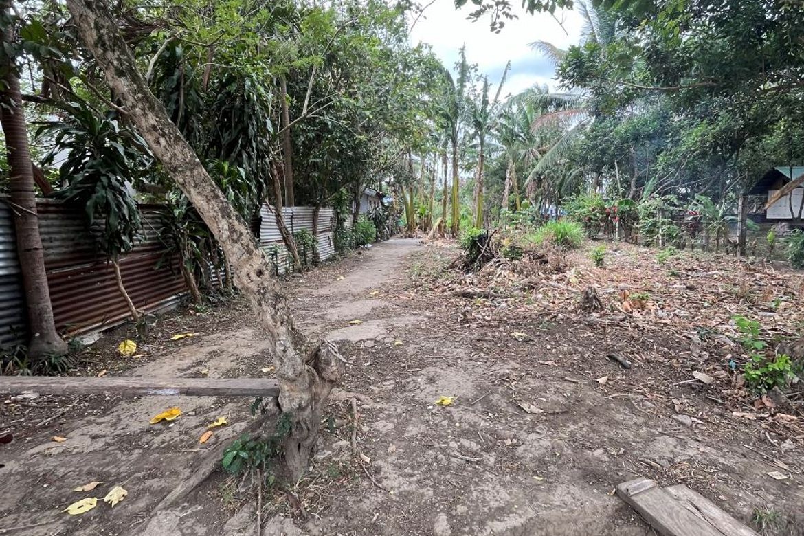 Land for Sale in Santa Monica, San Pablo, Laguna