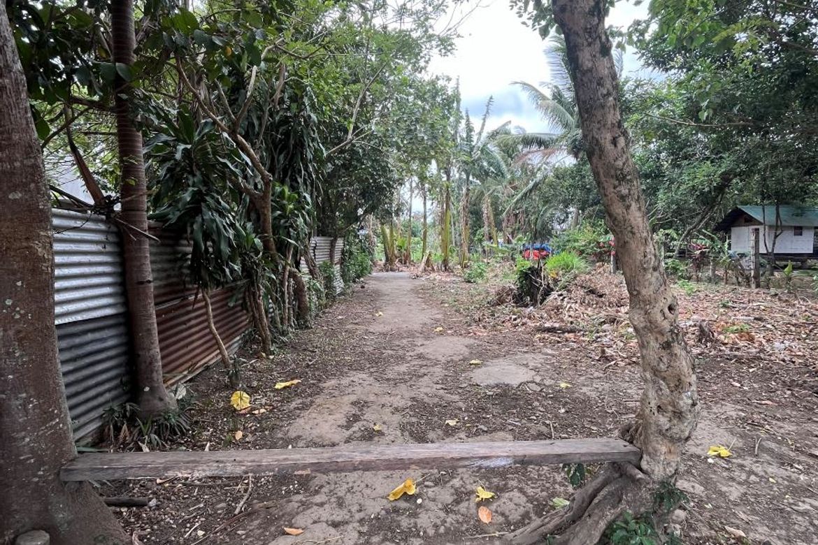 Land for Sale in Santa Monica, San Pablo, Laguna – photo 2