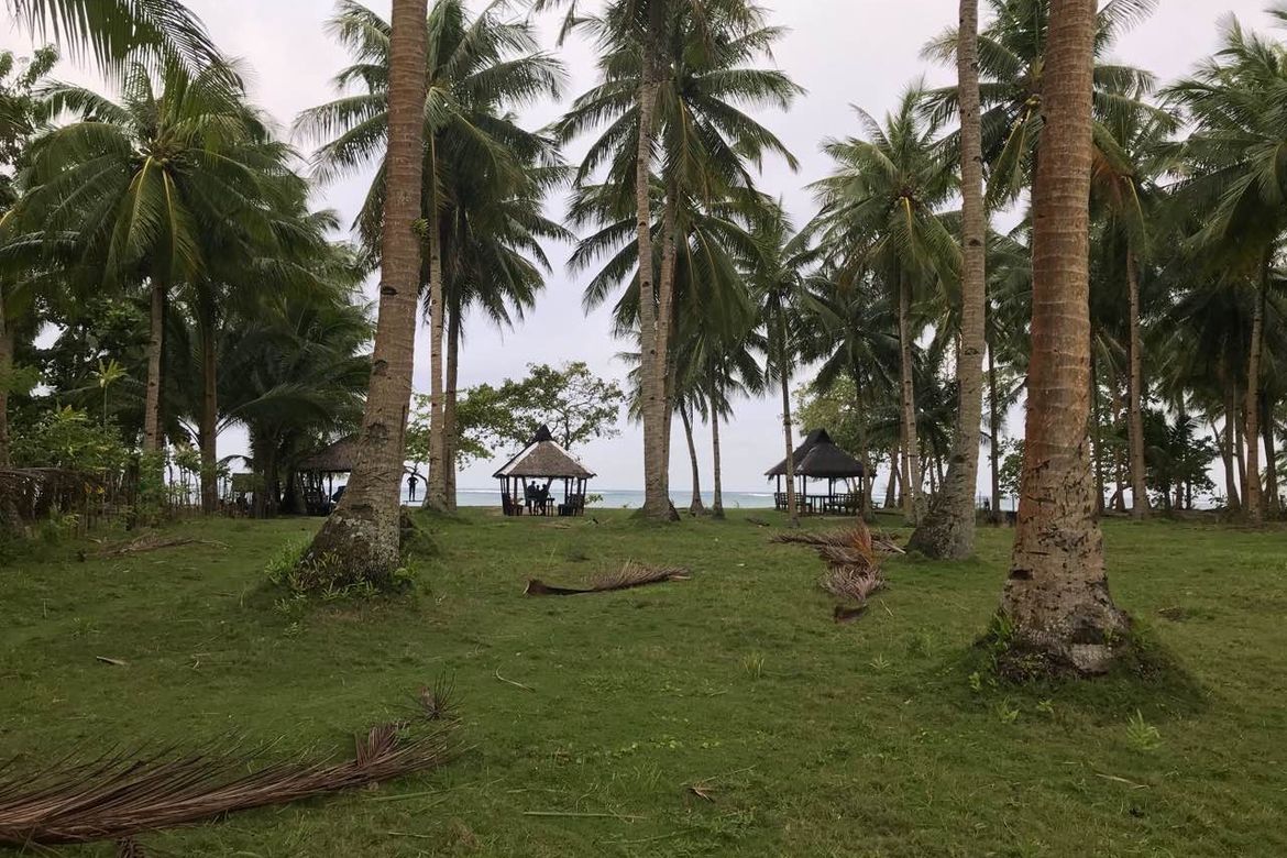 Land for Sale in Santa Monica (Sapao), Surigao del Norte – photo 7