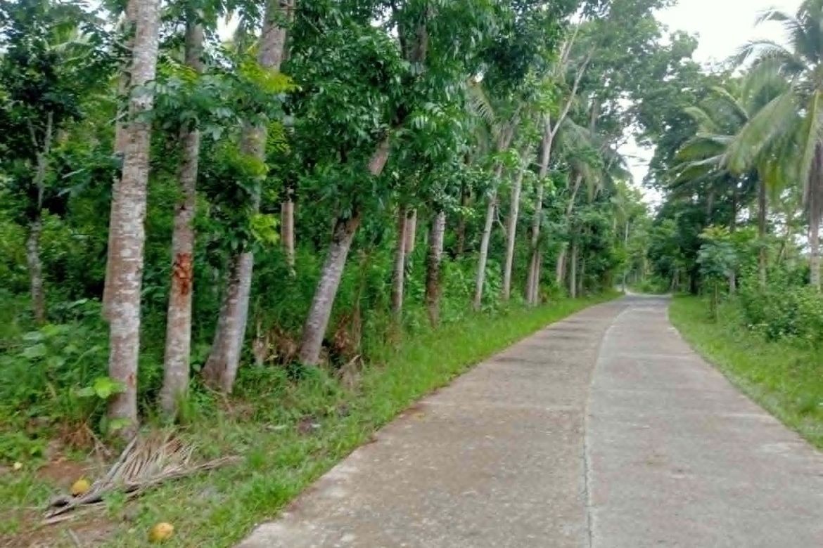 Land for Sale in Santa Rita I, Del Gallego, Camarines Sur – photo 2