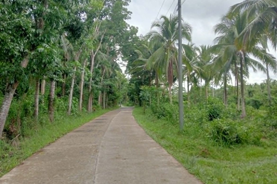 Land for Sale in Santa Rita I, Del Gallego, Camarines Sur – photo 3