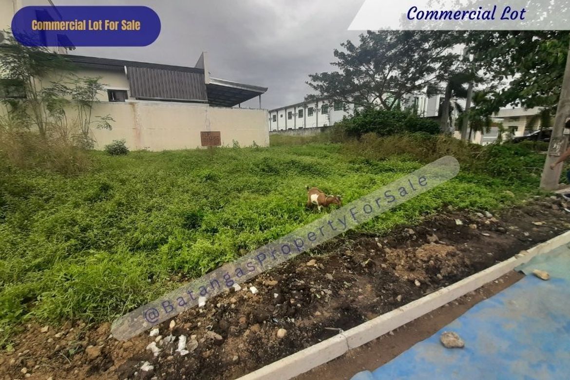 Land for Sale in Santa Rita Karsada, Batangas City, Batangas – photo 2