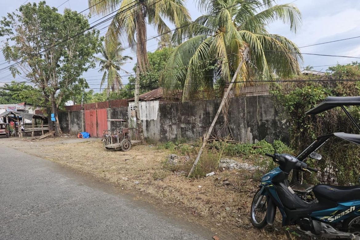 Land for Sale in Santa Rita, Oton, Iloilo – photo 2