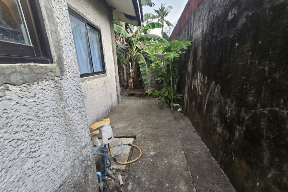 Land for Sale in Santa Rita, Oton, Iloilo – photo 6