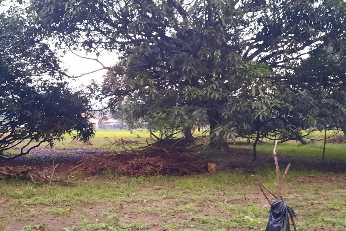 Land for Sale in Santa Rita, Quezon, Nueva Ecija – photo 3