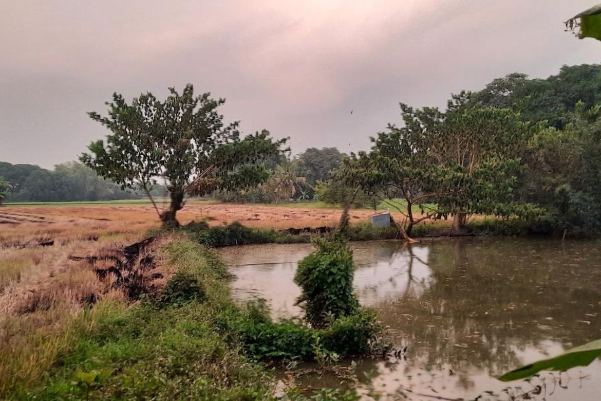 Land for Sale in Santa Rita, Quezon, Nueva Ecija – photo 4