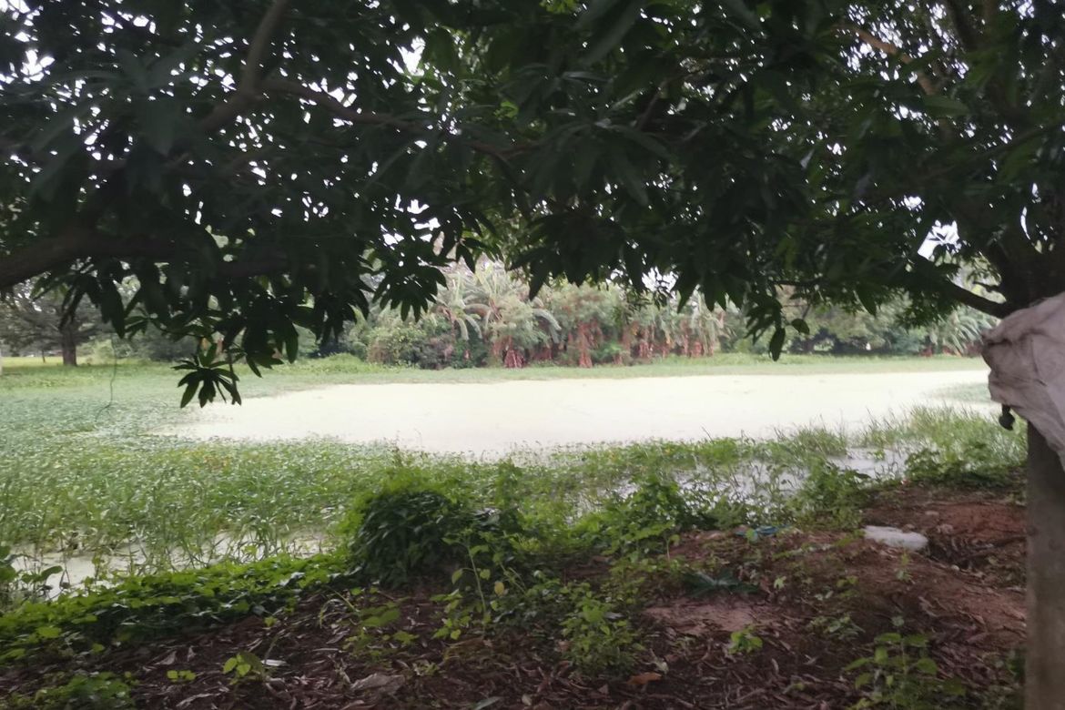 Land for Sale in Santa Rita, Quezon, Nueva Ecija – photo 5