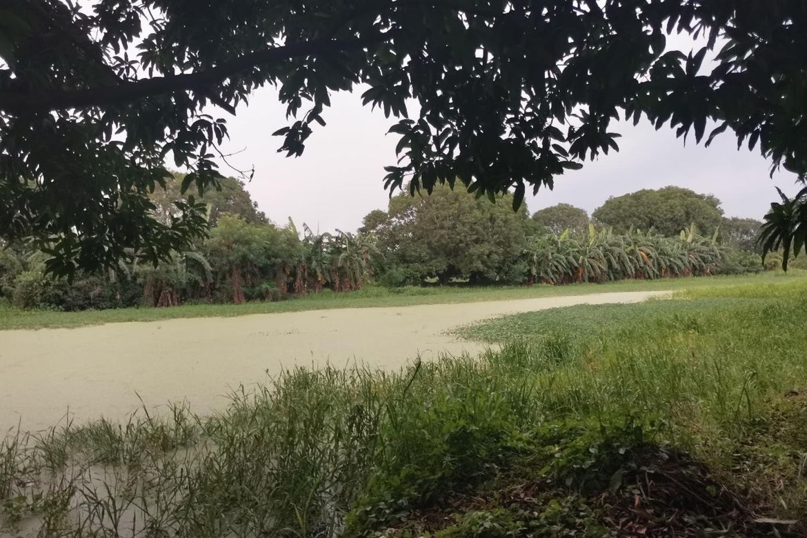 Land for Sale in Santa Rita, Quezon, Nueva Ecija – photo 6