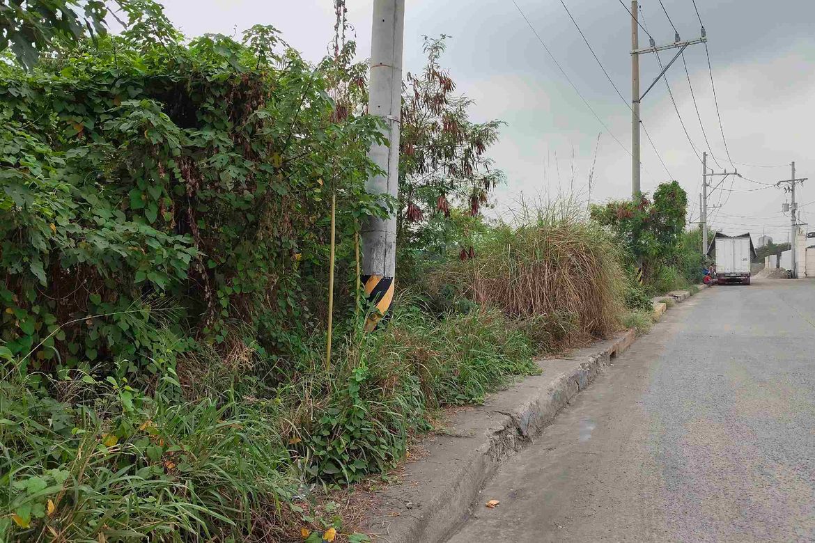 Land for Sale in Santa Rosa, Laguna – photo 4
