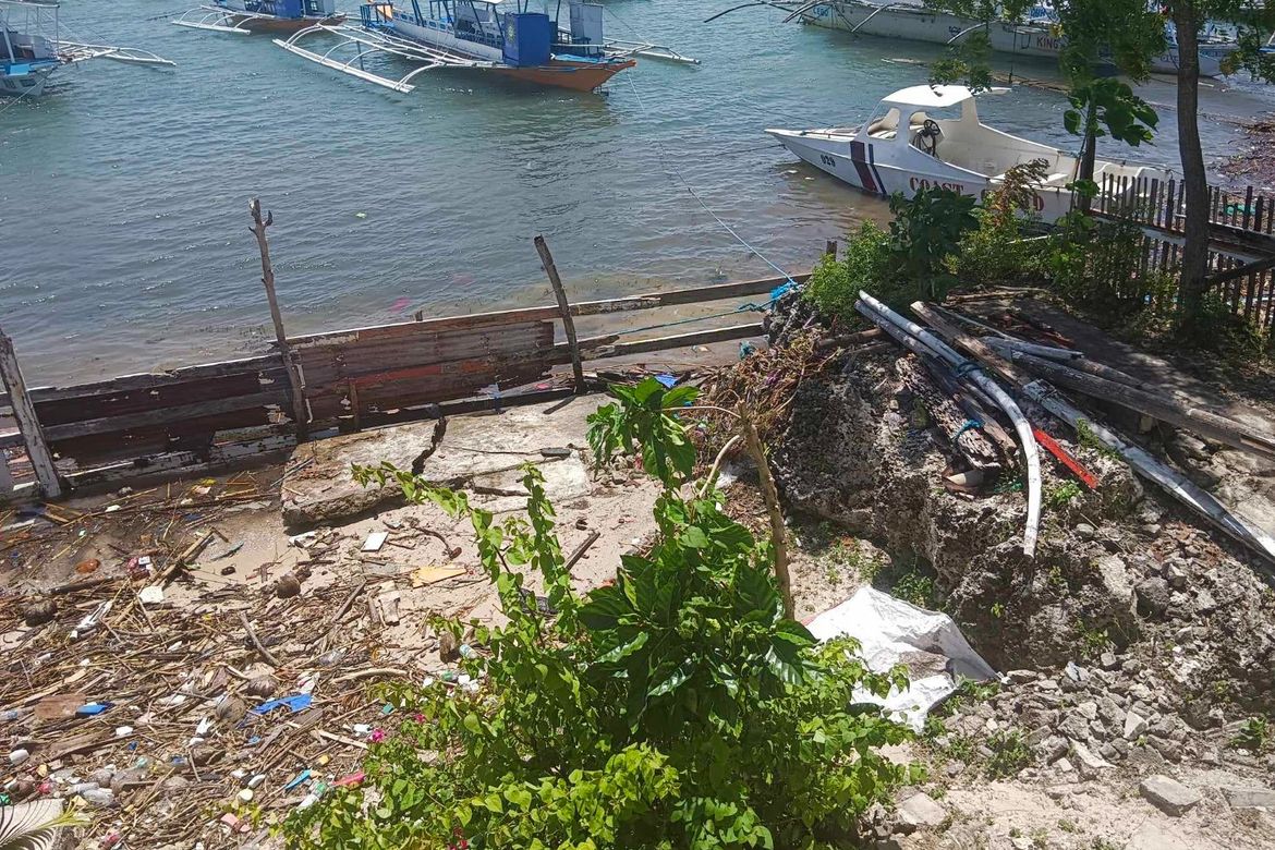 Land for Sale in Santa Rosa, Lapu-Lapu, Cebu – photo 3