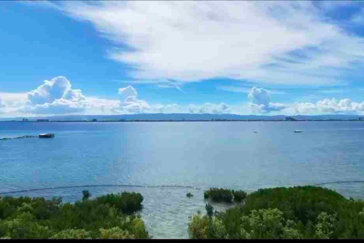 Land for Sale in Santa Rosa, Lapu-Lapu, Cebu