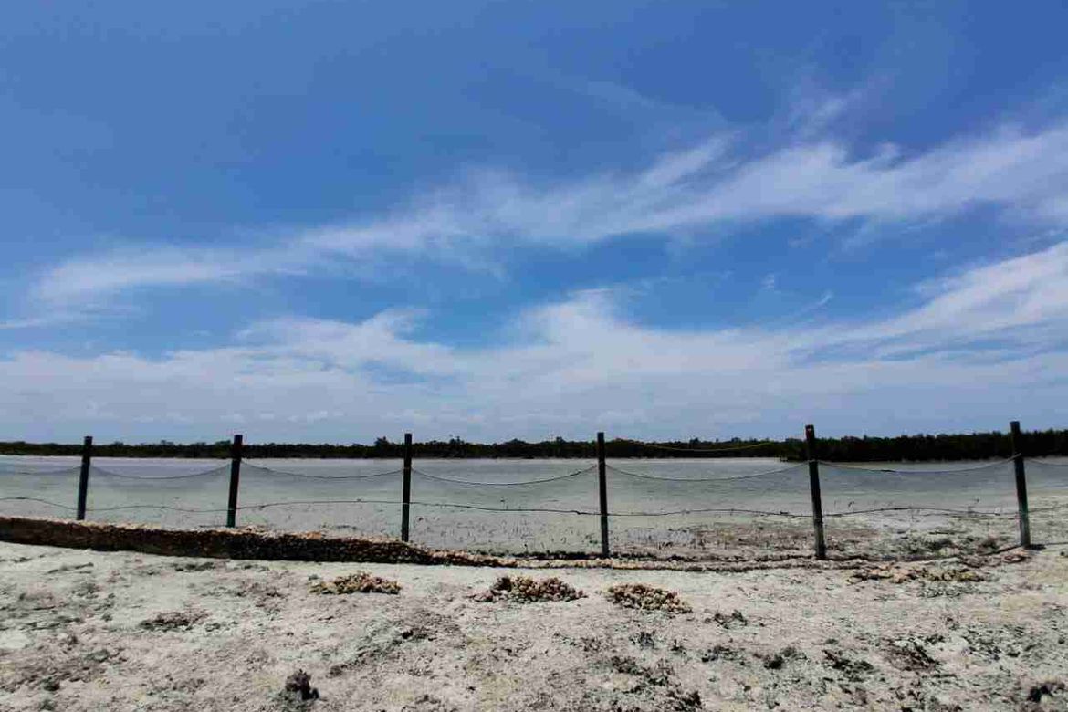 Land for Sale in Santa Rosa, Lapu-Lapu, Cebu – photo 4