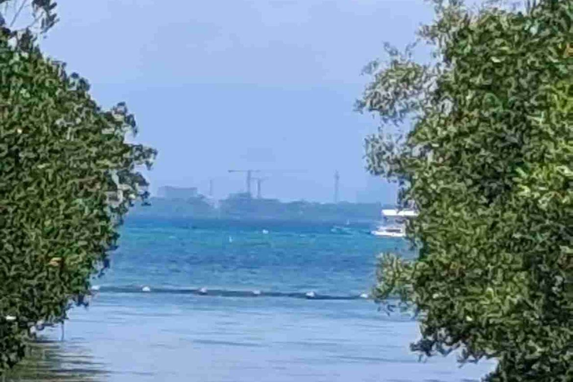 Land for Sale in Santa Rosa, Lapu-Lapu, Cebu – photo 6