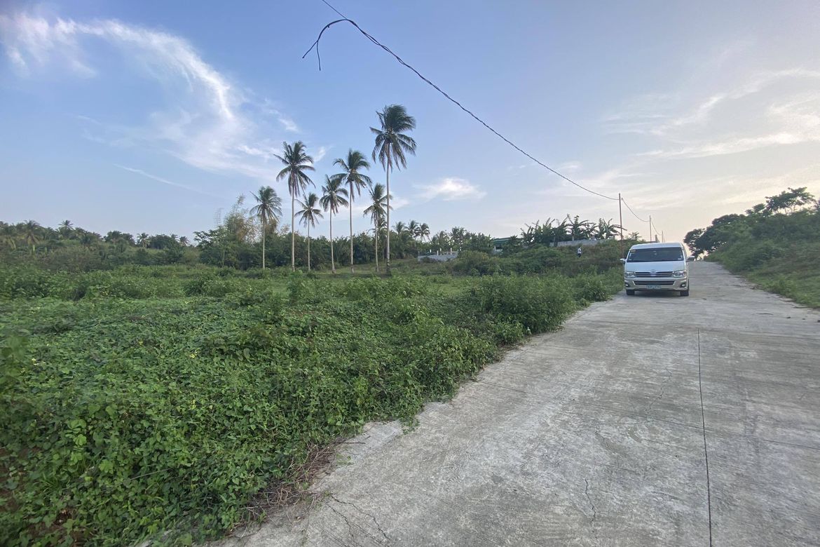 Land for Sale in Santa Teresa, Alfonso, Cavite