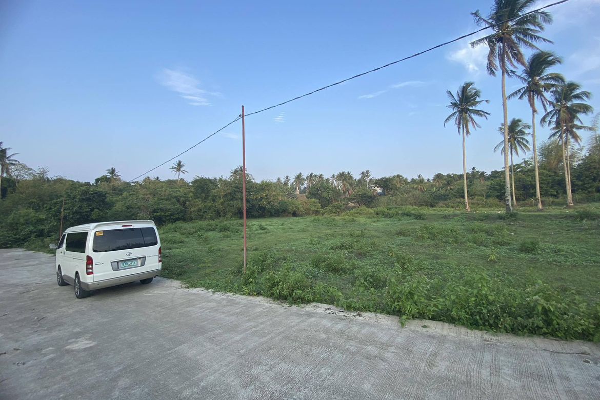 Land for Sale in Santa Teresa, Alfonso, Cavite – photo 2