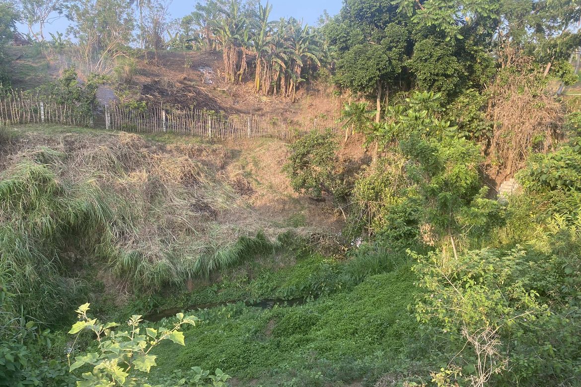 Land for Sale in Santa Teresa, Alfonso, Cavite – photo 3