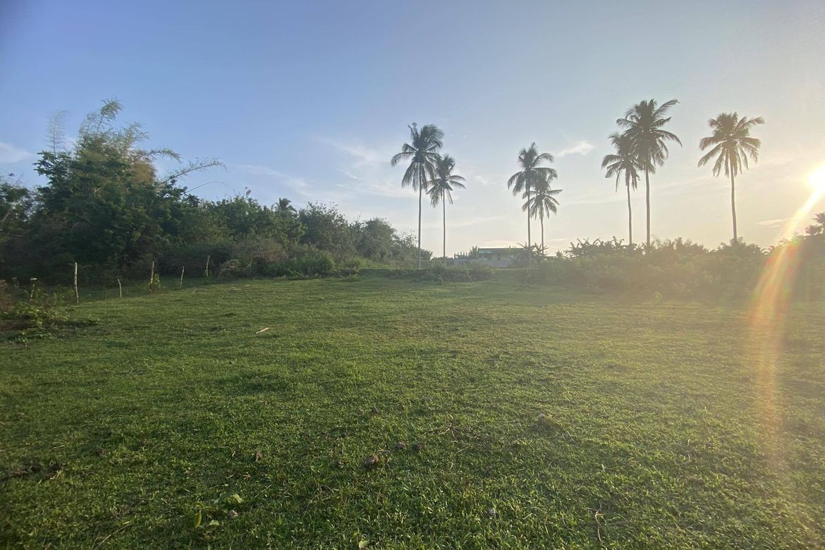 Land for Sale in Santa Teresa, Alfonso, Cavite – photo 4
