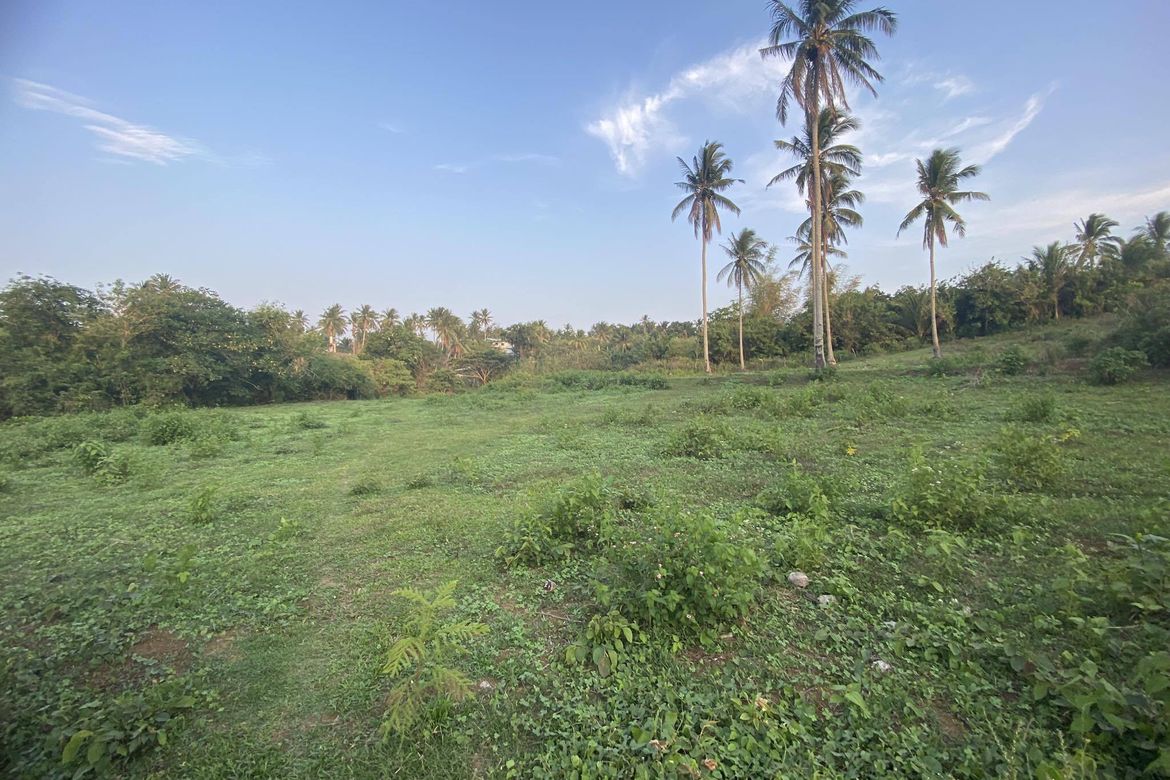 Land for Sale in Santa Teresa, Alfonso, Cavite – photo 5