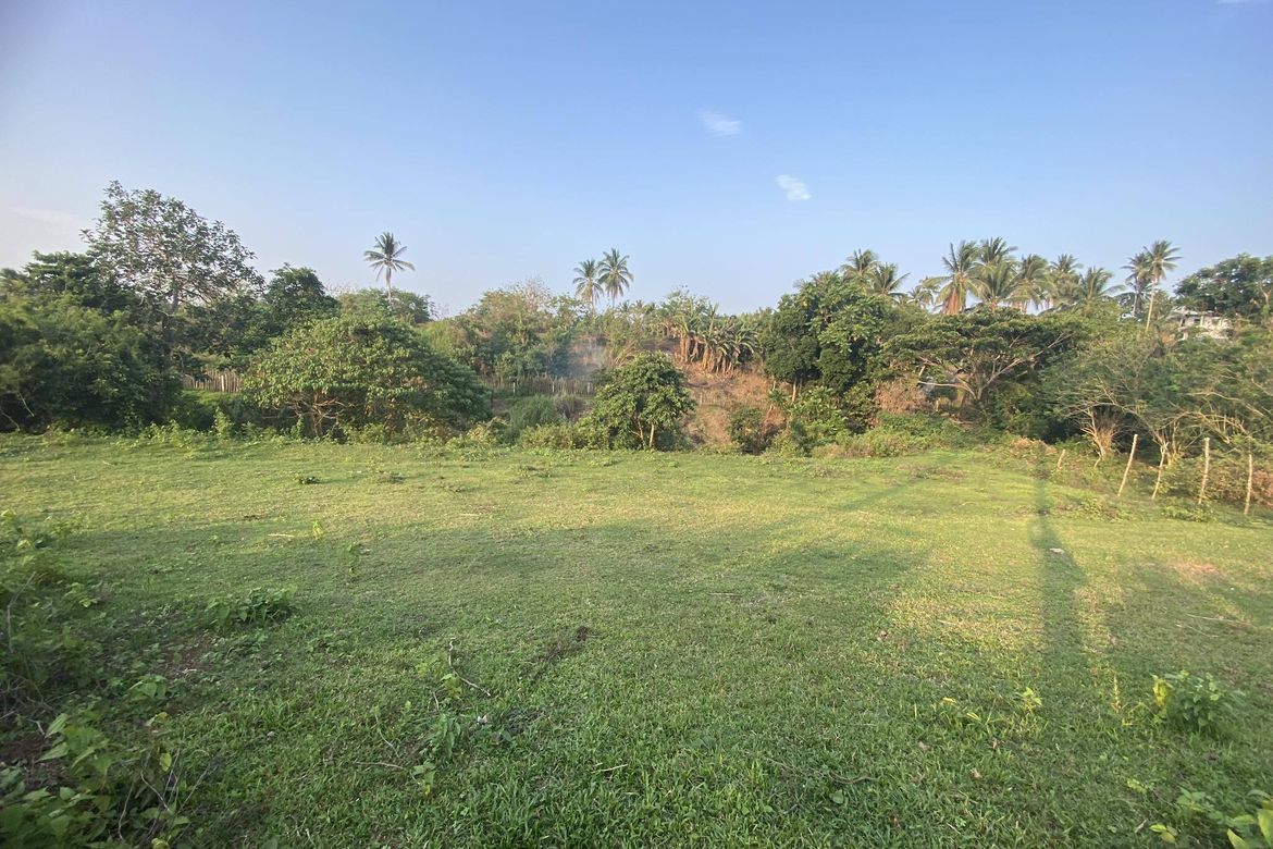 Land for Sale in Santa Teresa, Alfonso, Cavite – photo 6