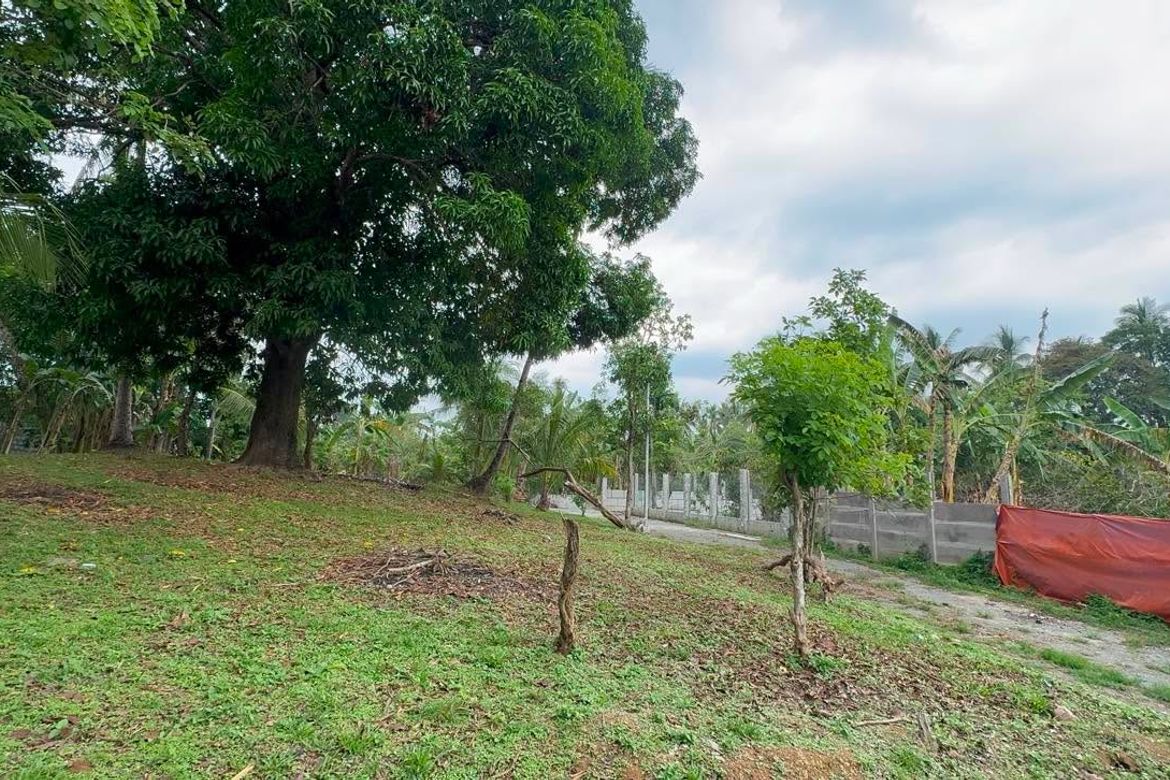 Land for Sale in Santa Teresa, Alfonso, Cavite – photo 2