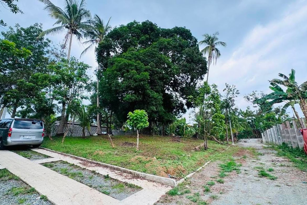 Land for Sale in Santa Teresa, Alfonso, Cavite – photo 3