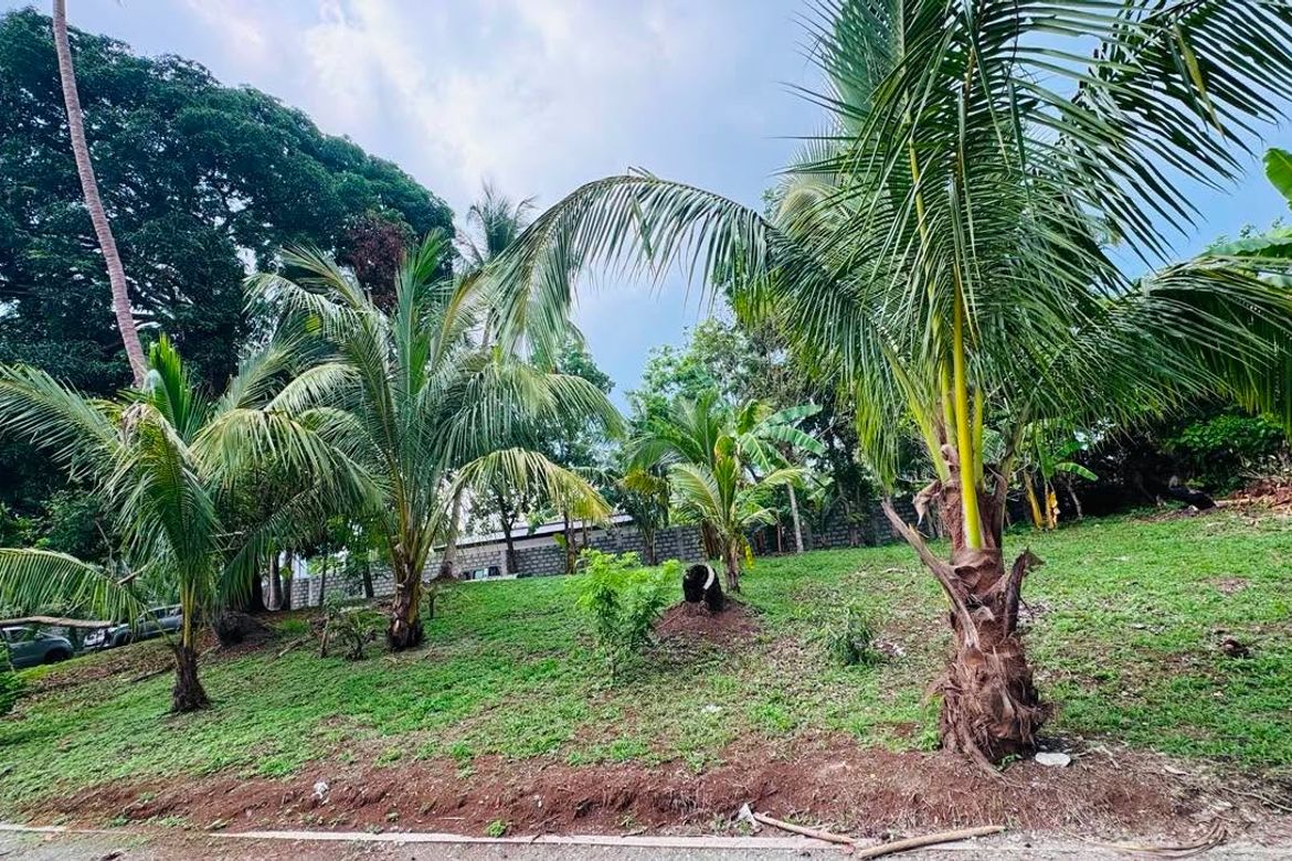 Land for Sale in Santa Teresa, Alfonso, Cavite – photo 5