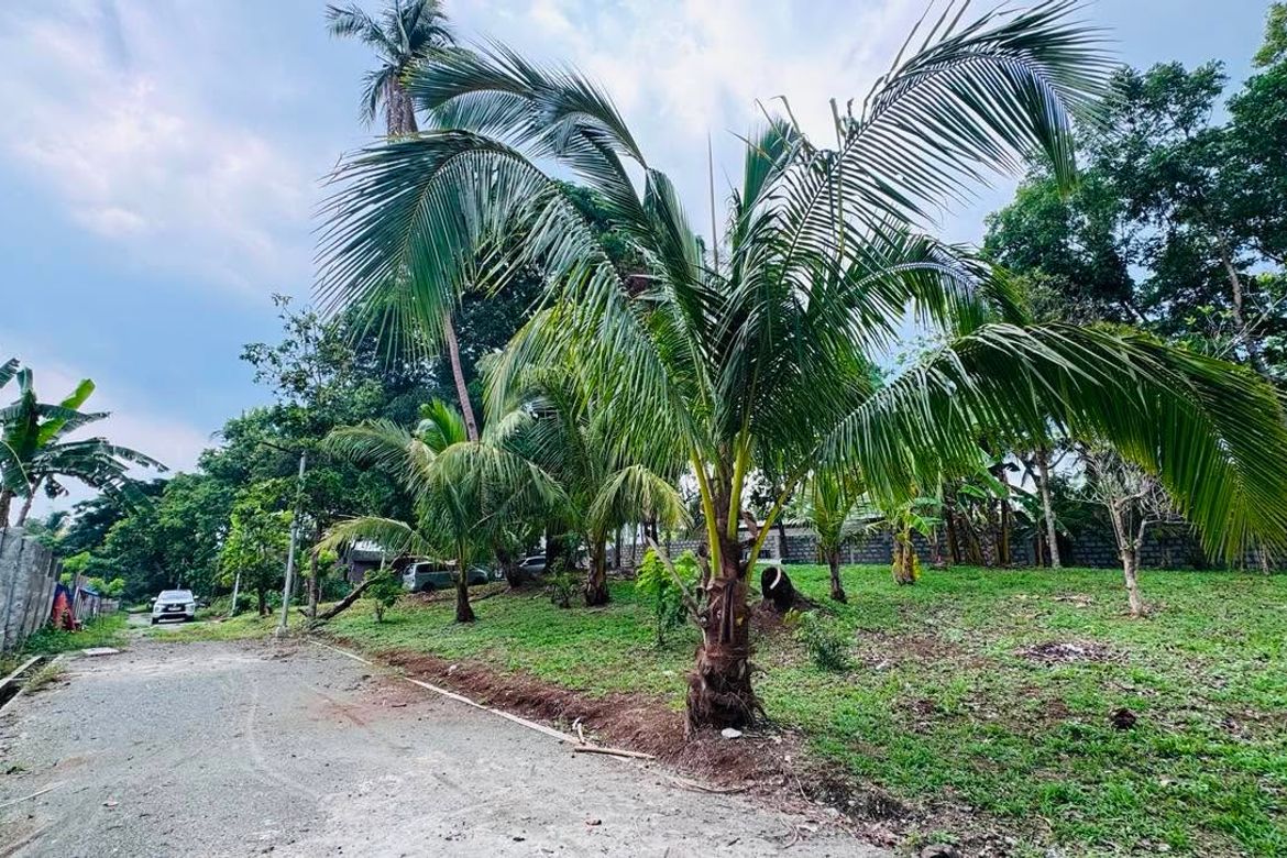Land for Sale in Santa Teresa, Alfonso, Cavite – photo 8