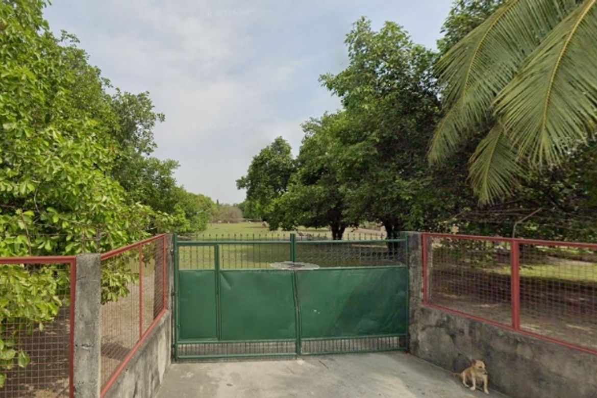 Land for Sale in Santiago, Concepcion, Tarlac – photo 2