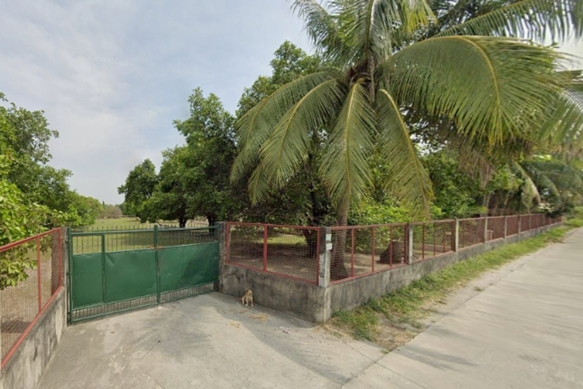 Land for Sale in Santiago, Concepcion, Tarlac – photo 4