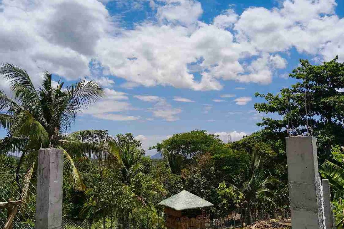 Land for Sale in Santiago II, San Pablo, Laguna – photo 4
