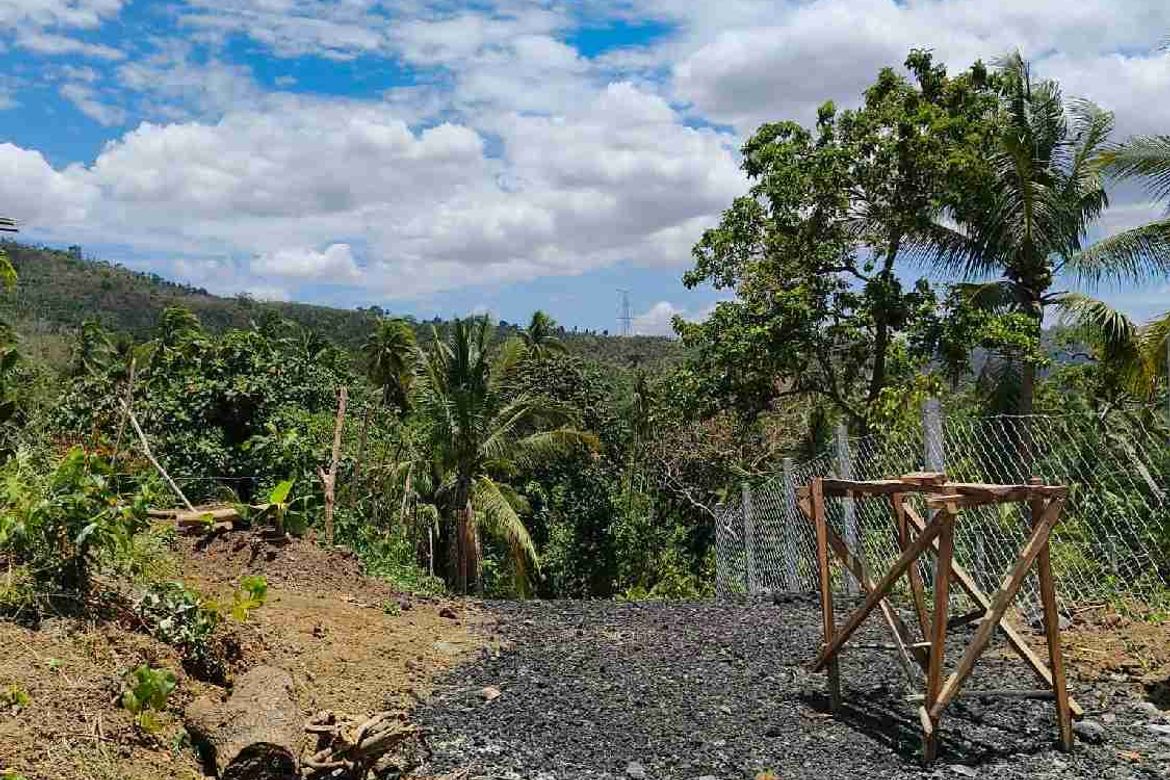 Land for Sale in Santiago II, San Pablo, Laguna – photo 5