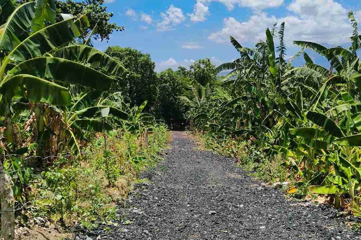 Land for Sale in Santiago II, San Pablo, Laguna – photo 8