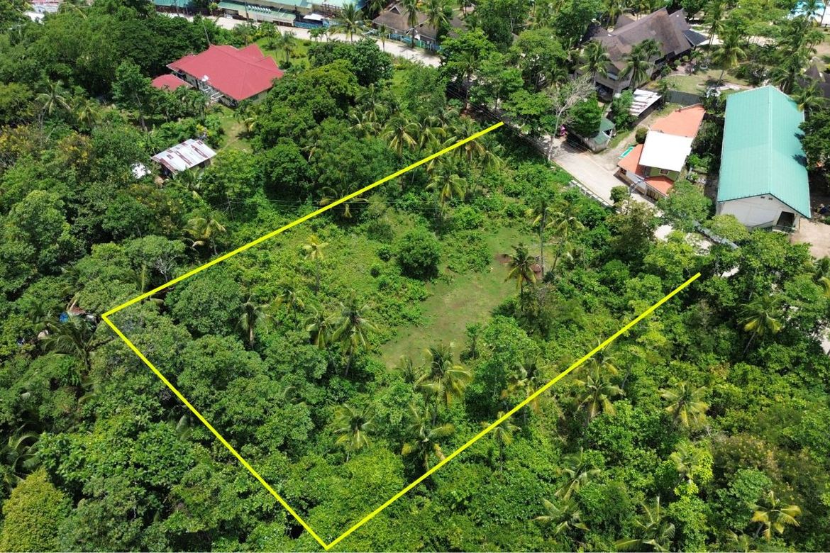 Land for Sale in Santiago, San Francisco, Cebu – photo 2