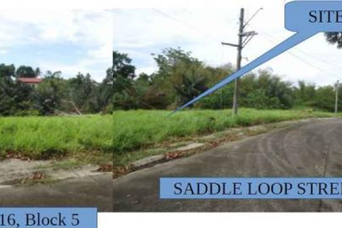 Land for Sale in Santiago, Santo Tomas, Batangas – photo 2