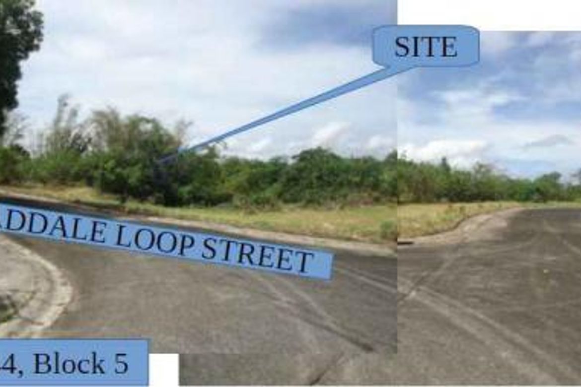 Land for Sale in Santiago, Santo Tomas, Batangas – photo 3
