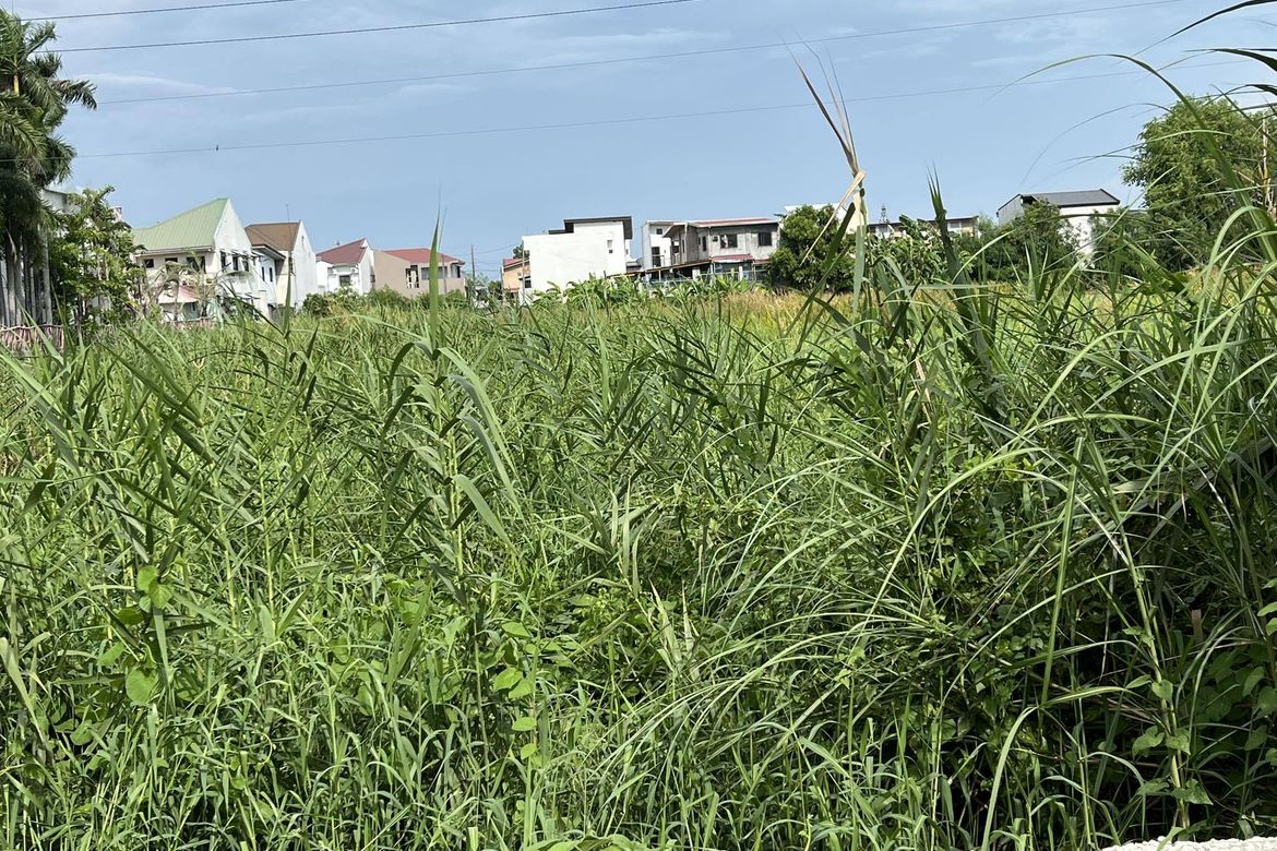 Land for Sale in Santo Cristo, Guagua, Pampanga