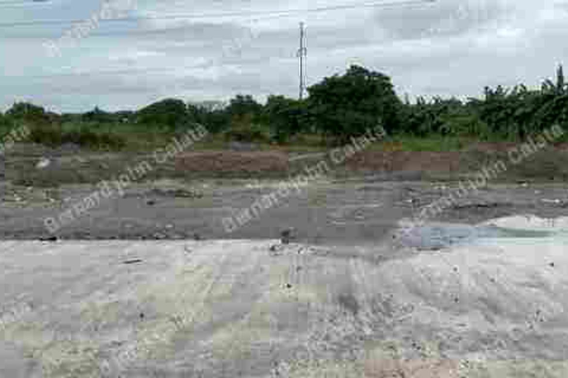 Land for Sale in Santo Cristo, Guagua, Pampanga – photo 6