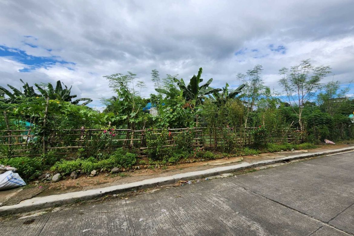 Land for Sale in Santo Cristo, San Jose del Monte, Bulacan – photo 2