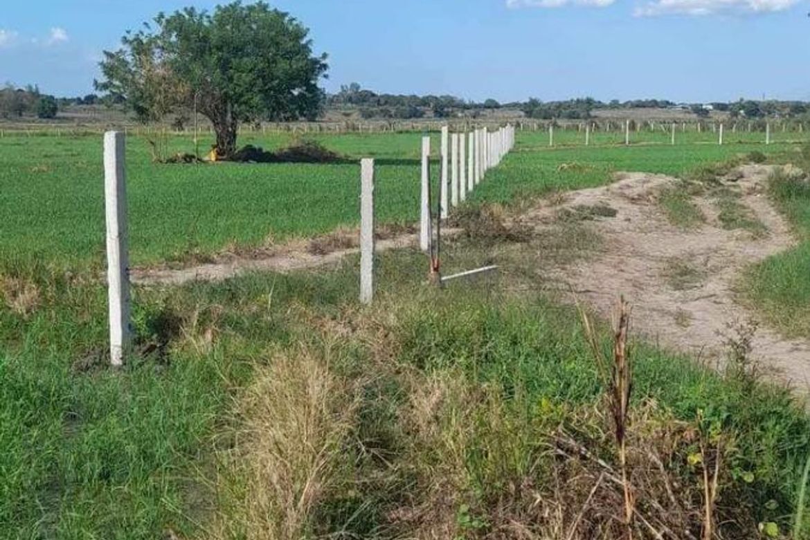 Land for Sale in Santo Domingo 2nd, Capas, Tarlac – photo 5