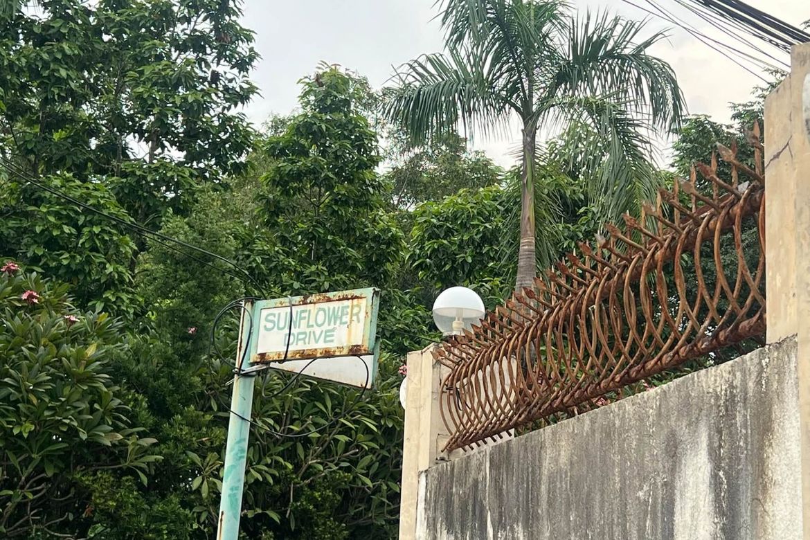 Land for Sale in Santo Domingo, Angeles, Pampanga – photo 5