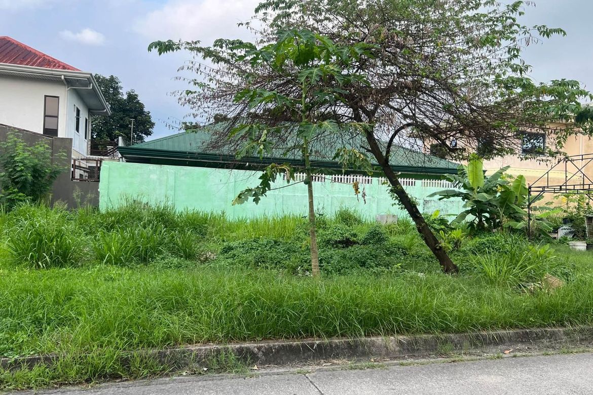 Land for Sale in Santo Domingo, Angeles, Pampanga – photo 6
