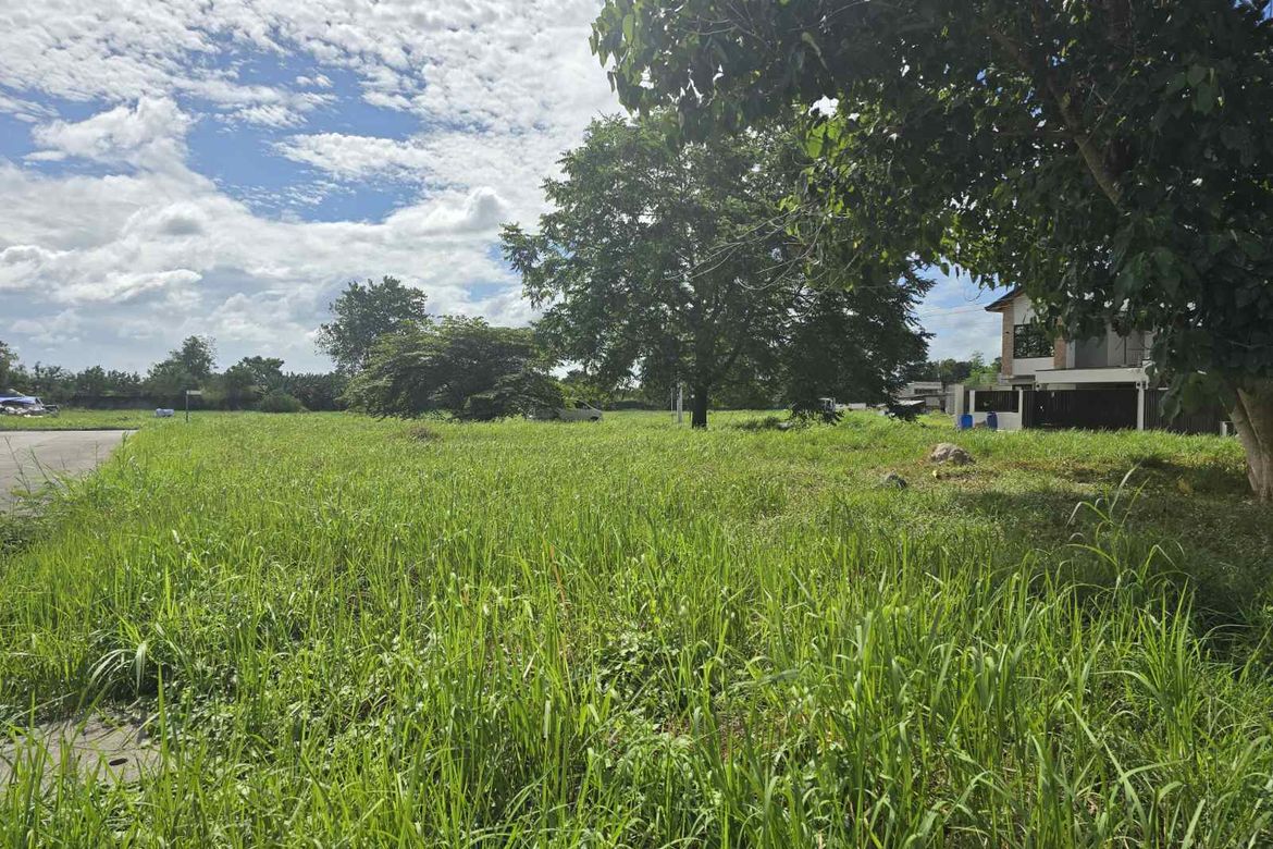 Land for Sale in Santo Domingo, Angeles, Pampanga – photo 4