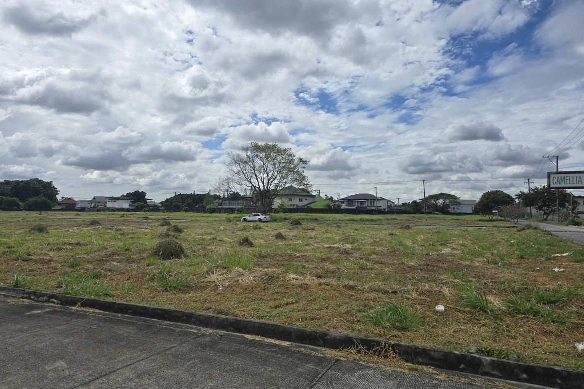 Land for Sale in Santo Domingo, Angeles, Pampanga – photo 6
