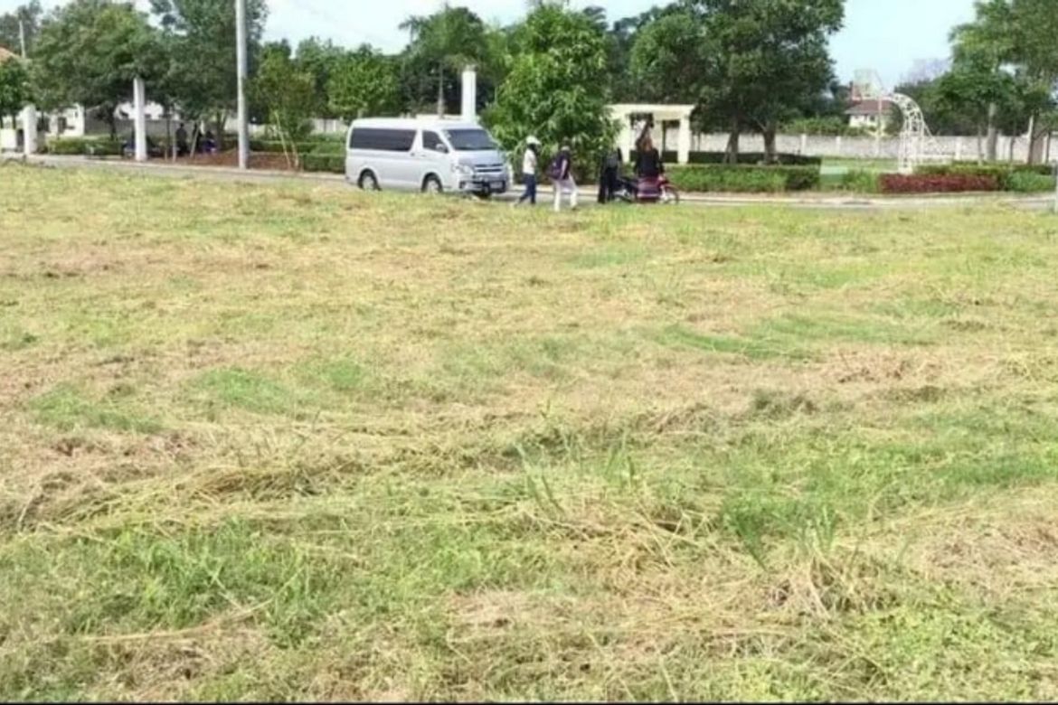 Land for Sale in Santo Domingo, Bay, Laguna – photo 2