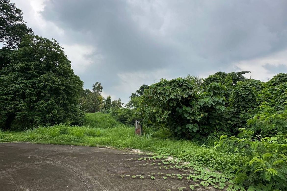 Land for Sale in Santo Domingo, Biñan, Laguna – photo 3